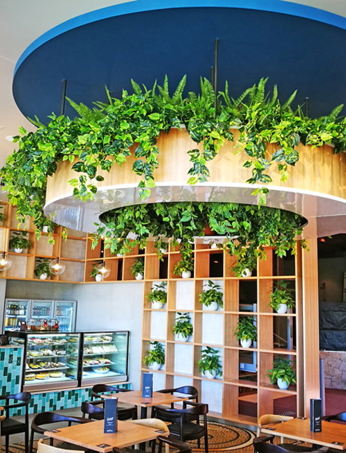 Raised Planter & Green-Wall in Club Foyer