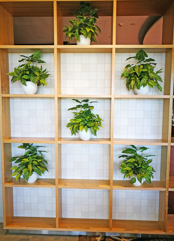 Raised Planter & Green-Wall in Club Foyer image 4