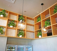 Raised Planter & Green-Wall in Club Foyer