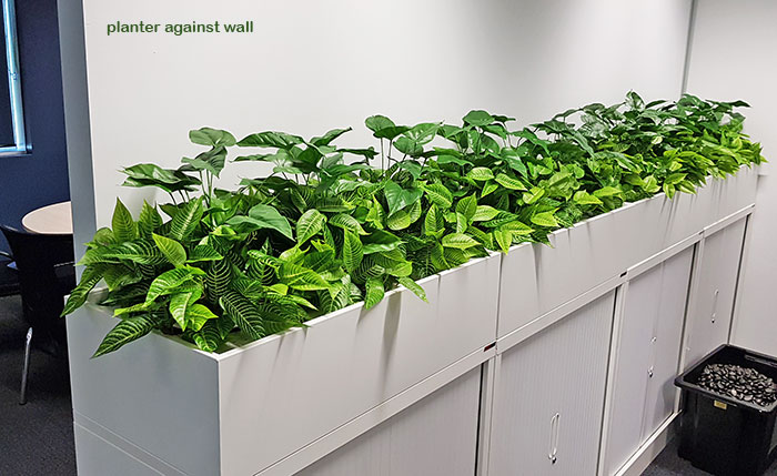 greenery planters over filing units