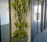 Multi-Story Head Office Fit-out