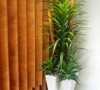 Office Entry Revamped with Green-Wall
