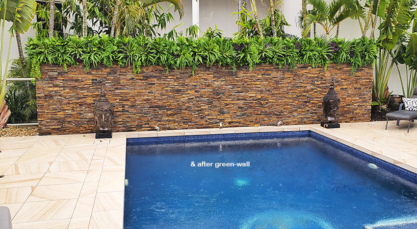 Artificial Green Wall finishes off pool side stone-wall... image 3