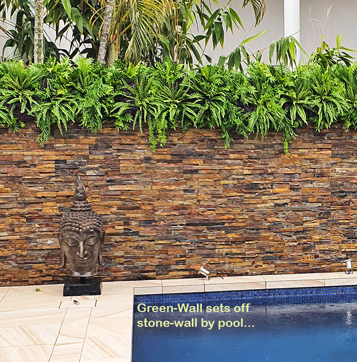 Artificial Green Wall finishes off pool side stone-wall... image 8