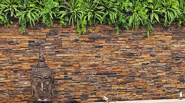 Green-Wall finishes off pool side stone-wall...