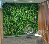 Office Entry Revamped with Green-Wall