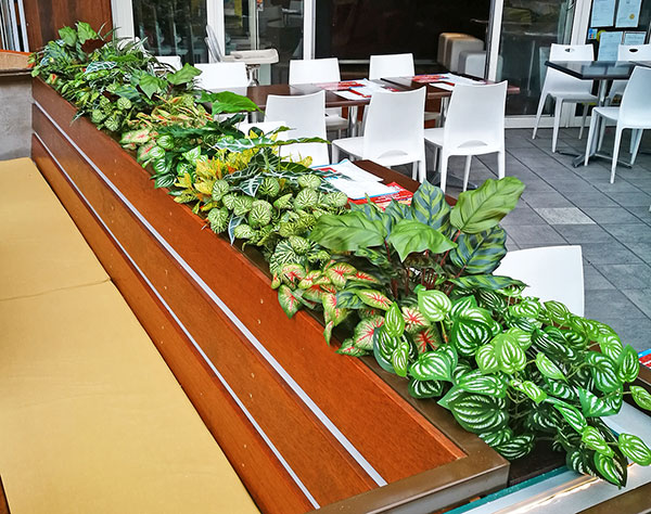 medium barrier planter between eateries