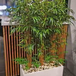 Trough Planters- with Bamboos 1.3m tall - artificial plants, flowers & trees - image 4