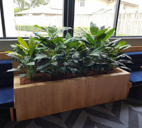Before & After Shots...... low Planters