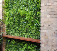 Before & After Shots..... Green-Walls 3