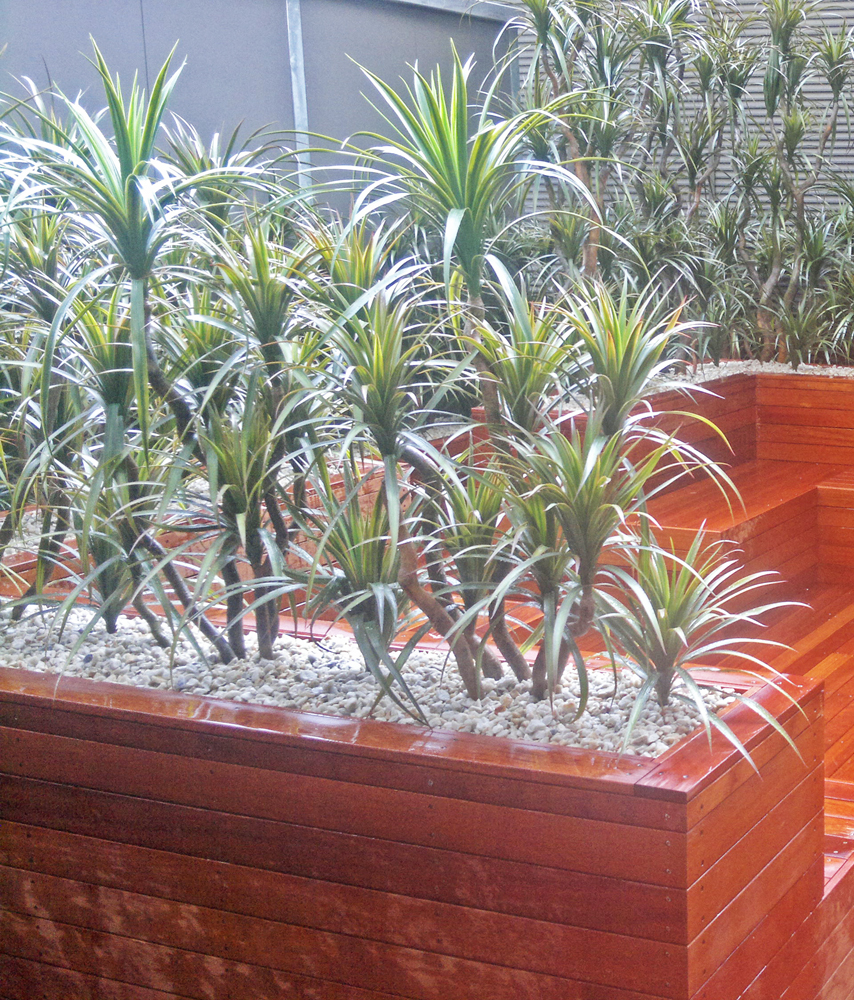 Before & After Shots...... low Planters 3