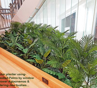 Before & After Shots...... low Planters 3