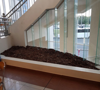 Before & After Shots...... low Planters 3