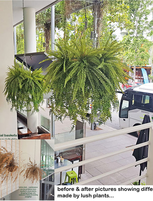 Before n After Shots..... Hanging-Baskets