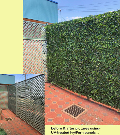 Before & After Shots..... Green-Walls 3