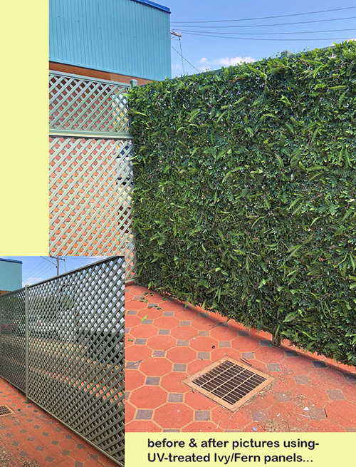 Before & After Shots..... Green-Walls 3