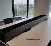 Before & After Shots...... low Planters