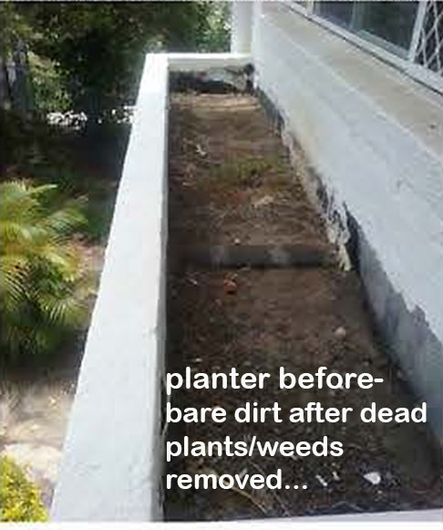 Outdoor raised planter boxes- maintenance problem solved by UV-treated artificials! image 2