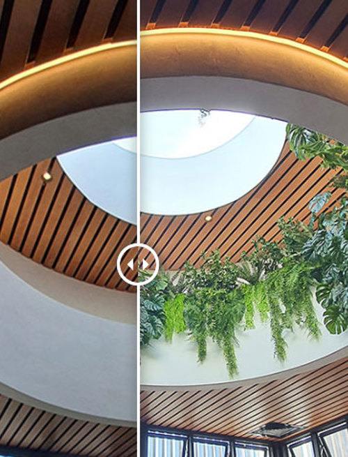 Before & After Section....... high Planters