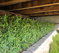 Before & After Shots..... Green-Walls 6