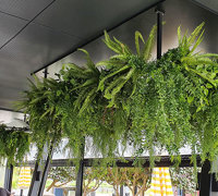 Adding Greenery to Tavern in 3 easy steps...
