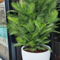 Cane Palm 1.75m-UV stable - artificial plants, flowers & trees - image 5