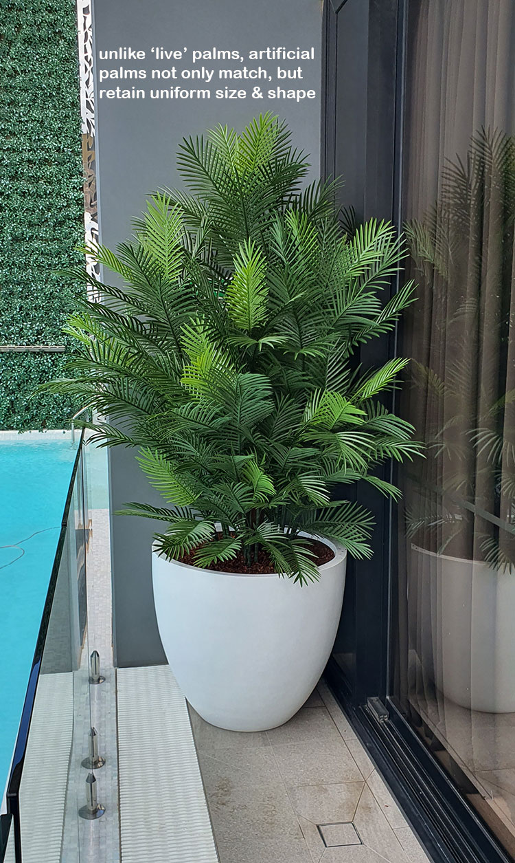 Large, lush UV-treated Palms for penthouse balcony image 5