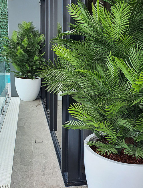 Large, lush UV-treated Palms for penthouse balcony