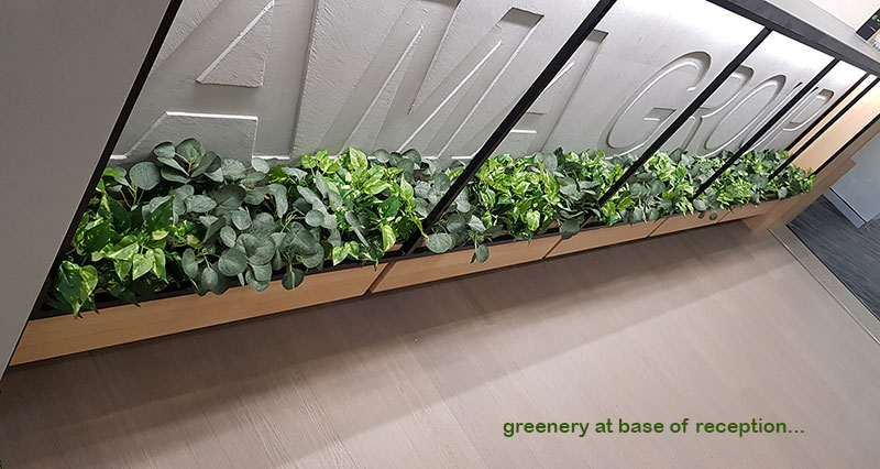 Modern 'open-plan' Offices use greenery throughout... image 4