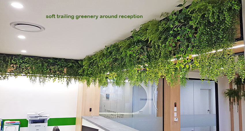 Modern 'open-plan' Offices use greenery throughout... image 3