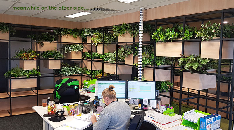 Modern 'open-plan' Offices use greenery throughout... image 10