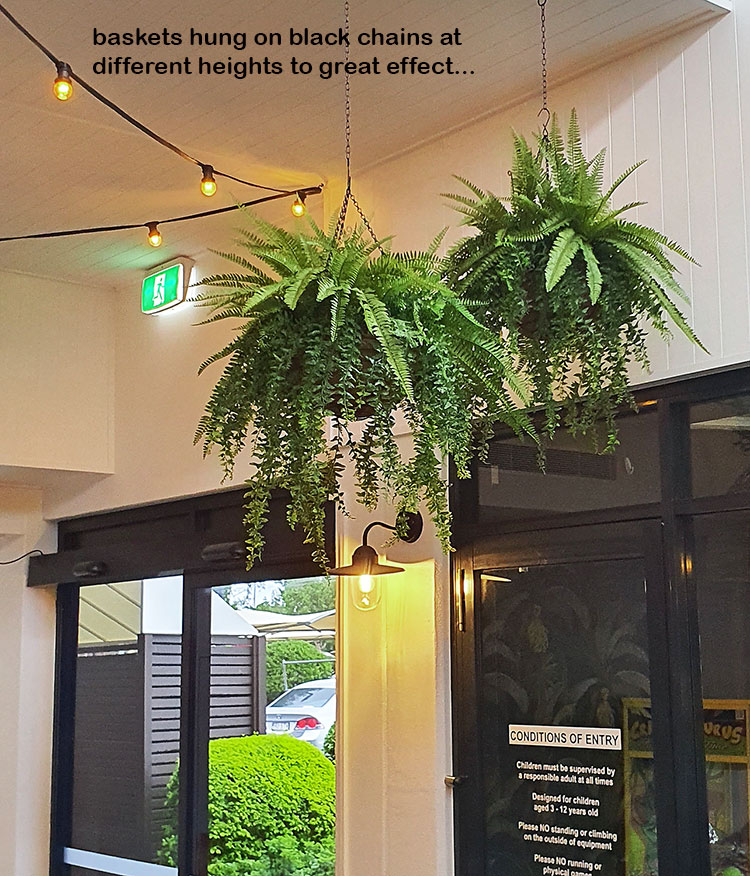 Hanging-Baskets give the finishing 'green-touch' to an excellent tavern makeover... image 4