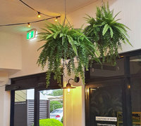 Hanging-Baskets give the finishing 'green-touch' to an excellent tavern makeover...