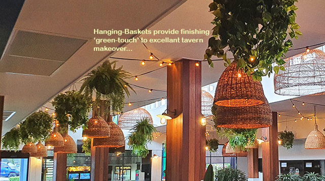 Hanging-Baskets give the finishing 'green-touch' to an excellent tavern makeover...
