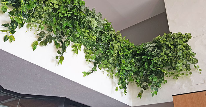 Easy-way to add greenery to a bare wall- resort foyer gets a 'green-hello' image 8