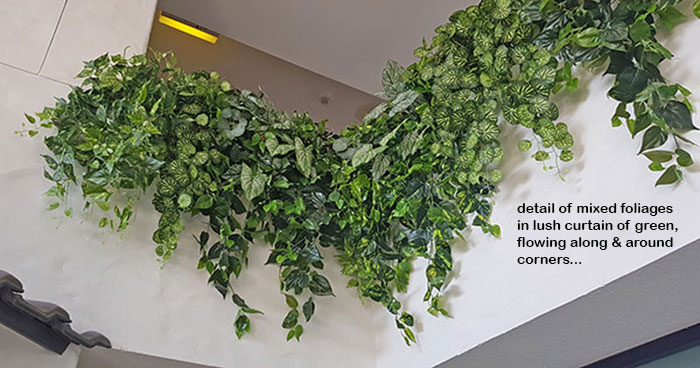 Easy-way to add greenery to a bare wall- resort foyer gets a 'green-hello' image 6