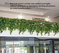 Easy-way to add greenery to a bare wall- resort foyer gets a 'green-hello'