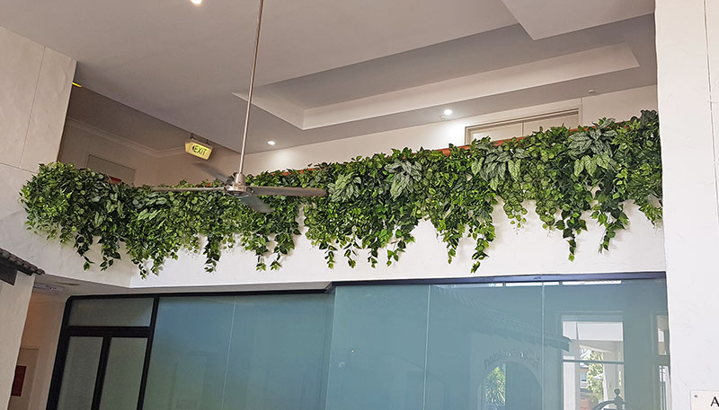 Easy-way to add greenery to a bare wall- resort foyer gets a 'green-hello' image 7