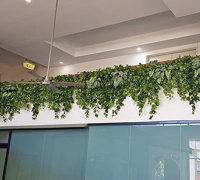 Easy-way to add greenery to a bare wall- resort foyer gets a 'green-hello'