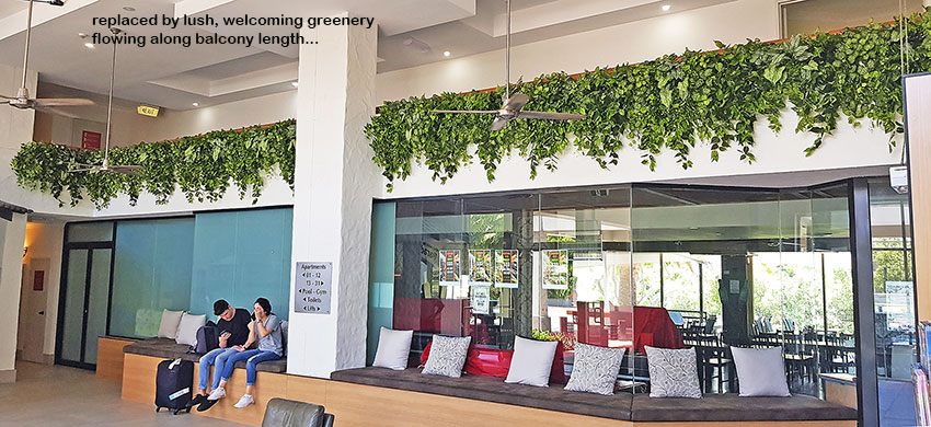 Easy-way to add greenery to a bare wall- resort foyer gets a 'green-hello' image 3