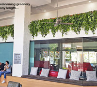 Easy-way to add greenery to a bare wall- resort foyer gets a 'green-hello'