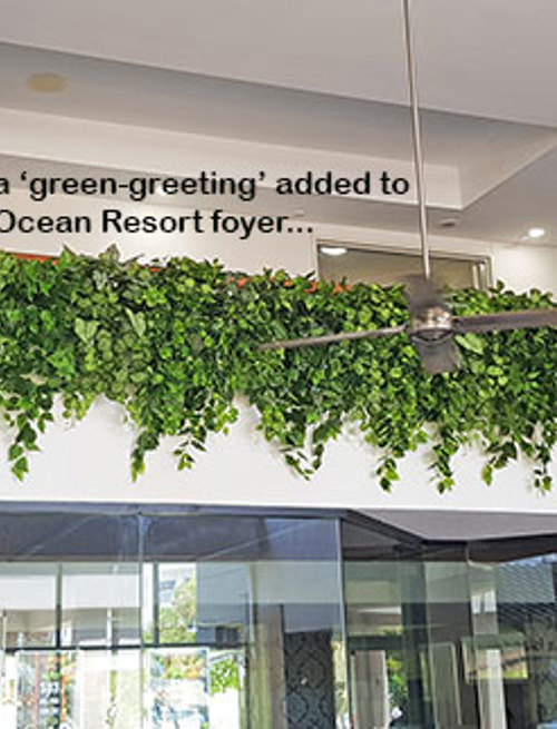 Easy-way to add greenery to a bare wall- resort foyer gets a 'green-hello'