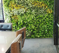 Offices get a 'lift' with vibrant green-walls from reception to boardroom...