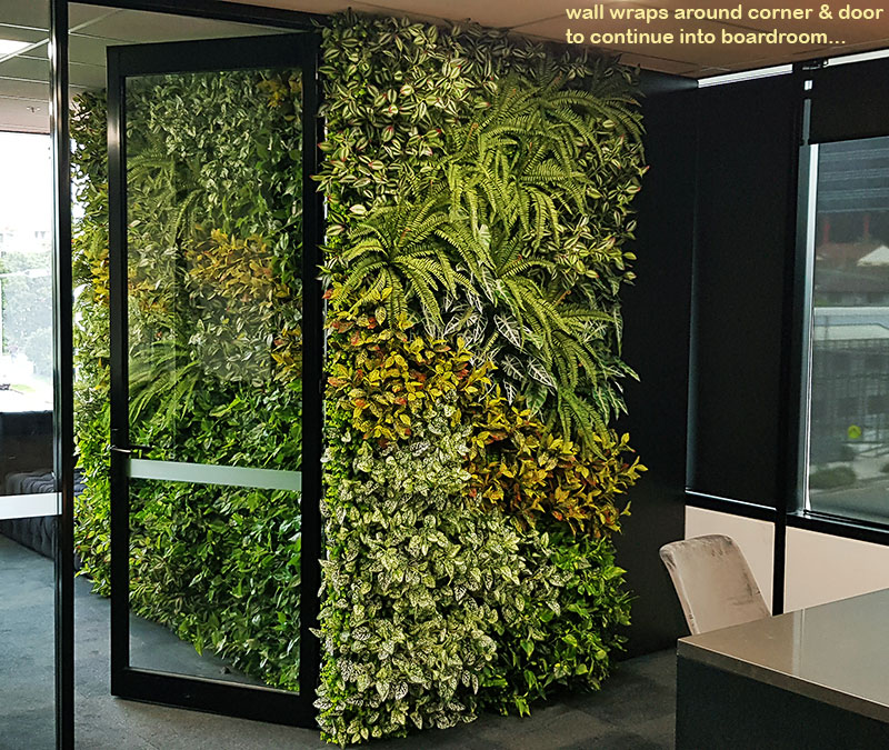 Offices get a 'lift' with vibrant green-walls from reception to boardroom... image 5