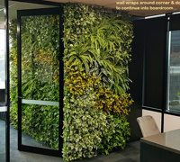 Offices get a 'lift' with vibrant green-walls from reception to boardroom...