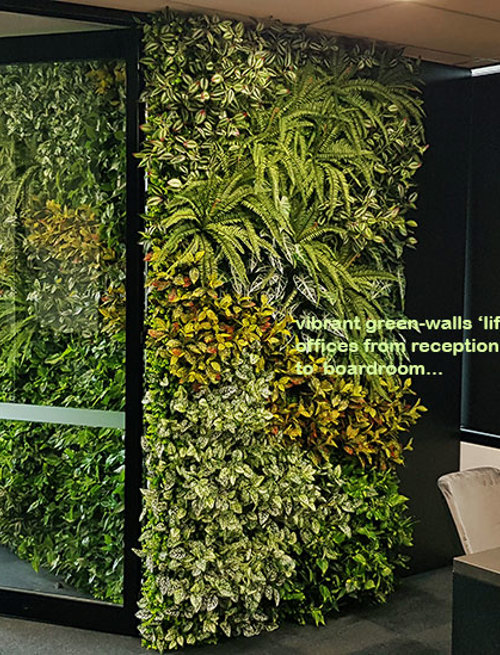 Offices get a 'lift' with vibrant green-walls from reception to boardroom...