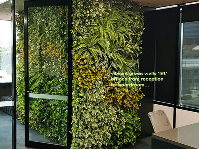 Offices get a 'lift' with vibrant green-walls from reception to boardroom...