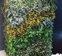 Offices get a 'lift' with vibrant green-walls from reception to boardroom...