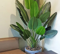Hotel refurb with artificial plants inside & out...