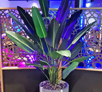 Hotel refurb with artificial plants inside & out...